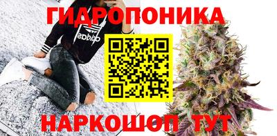кокс Гусев