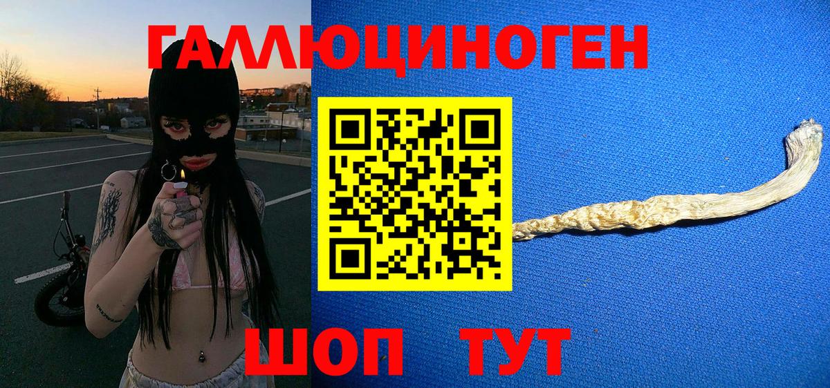 Муром  Галлюциногенные грибы Psilocybe  Вход с VPN 