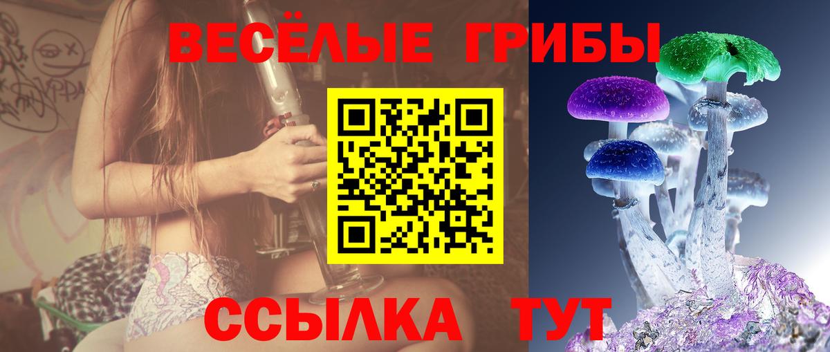 Галлюциногенные грибы мухоморы Муром